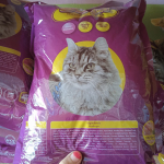 Jenis Makanan Kucing Terbaik Yang Bikin Gemuk dan Bulu Bagus