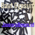 Baut Gypsum